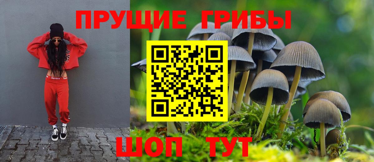 Верхняя Салда  Псилоцибиновые грибы Magic Shrooms  Вход с VPN 