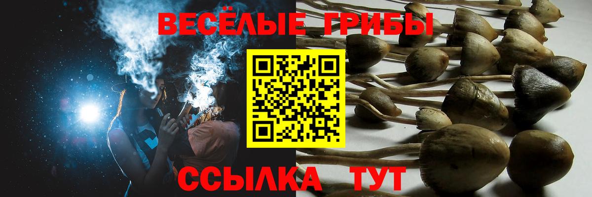 Псилоцибиновые грибы мицелий Верхняя Салда